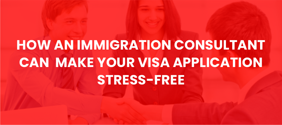 How an Immigration Consultant Can Make Your Visa Application Stress-Free?